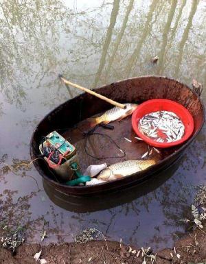 电棍能在水里打鱼吗?