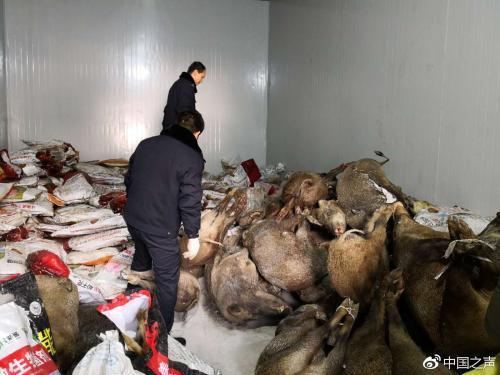 1548845108112997.jpg RGOK85sD42YIiS.jpg