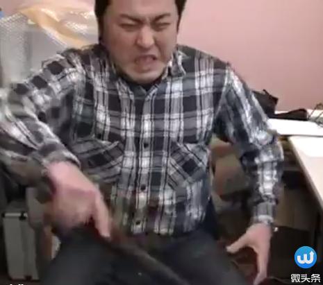 1552378313657525.jpg 4.jpg