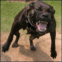 1581757630114705.jpg 200991_14045.jpg