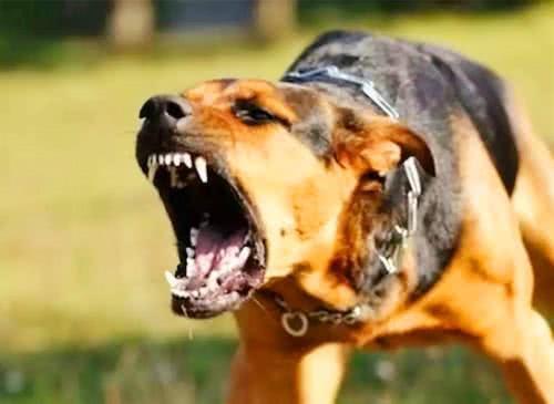 1591626138403207.jpg timg.jpg